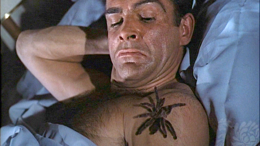 dr-no-spider.png